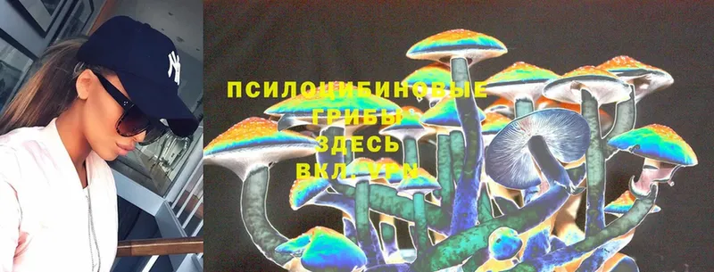 цены наркотик  Абинск  Галлюциногенные грибы Psilocybine cubensis 